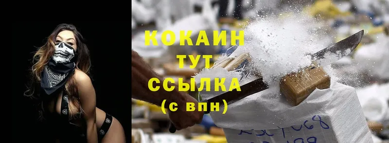 Cocaine Эквадор Куртамыш